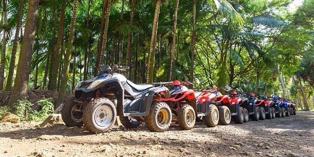 Full day quad bike discovery tour in the south (5)